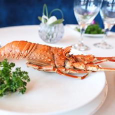 西苑饭店紫金云顶单人自主